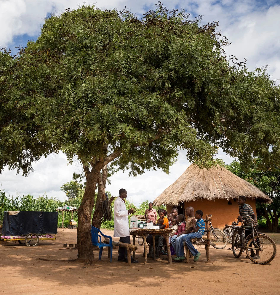Gemeinschaft versammelt sich unter einem großen Schattenbaum.