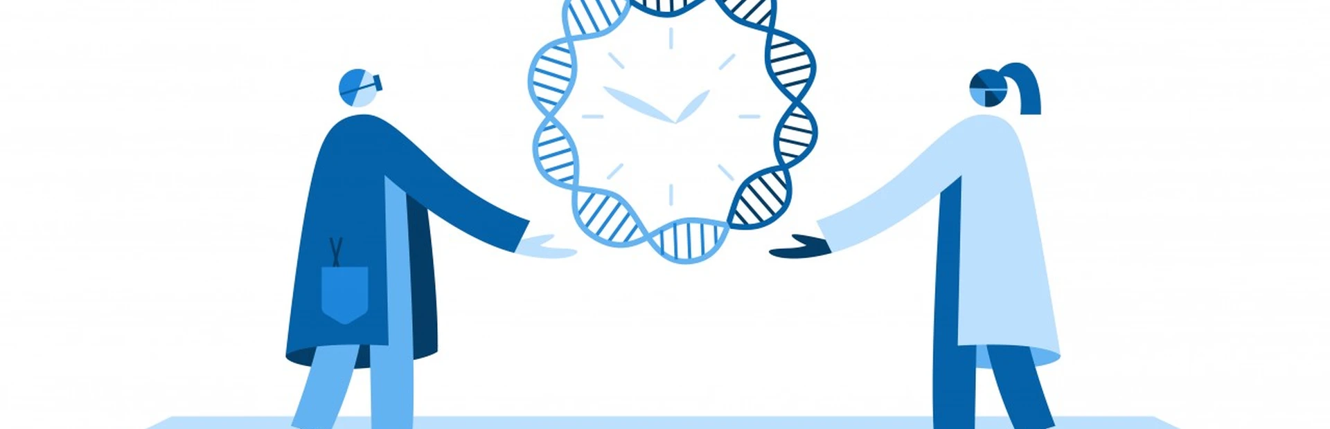 Banner der nächste Schritt Plasmide