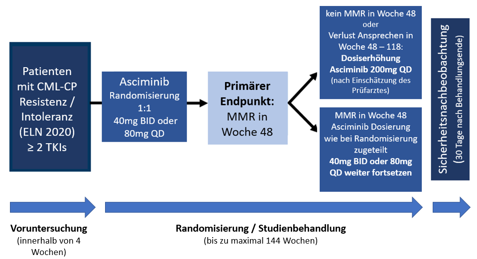 Studienaufbau