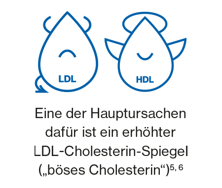 Eine der Hauptursachen erhöhter LDL-Cholesterin-Spiegel