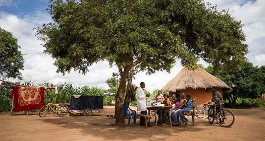 Gemeinschaft versammelt unter einem großen Schattenbaum.