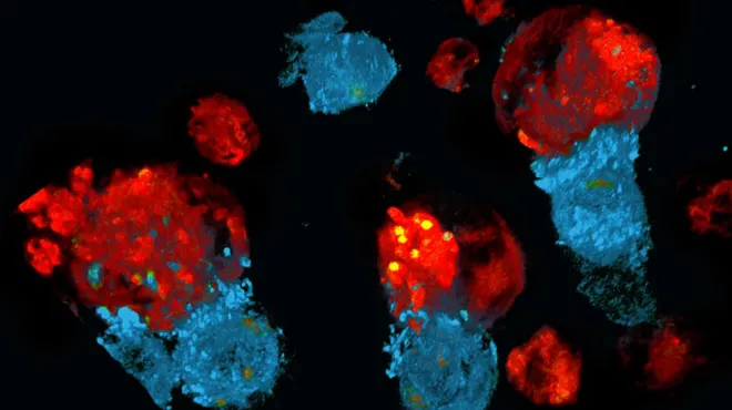 cart t hero image v2_0