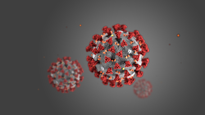 Illustration: Coronavirus (Centers for Disease Control and Prevention) 