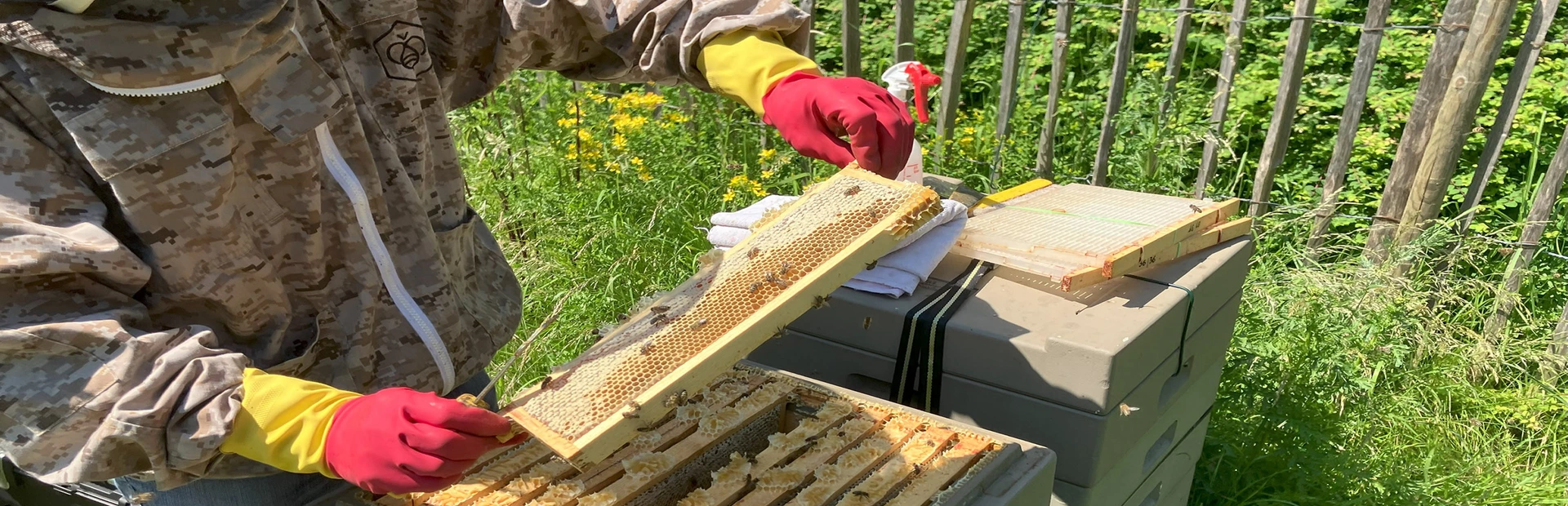 Beekeeper and hive