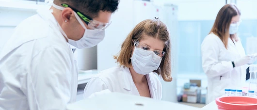 A pair of doctors looking at something