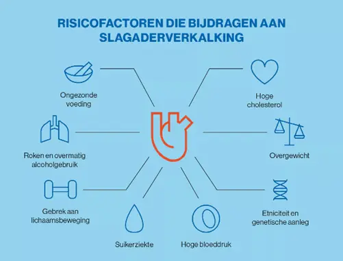 infographic risicos slagaderverkalking