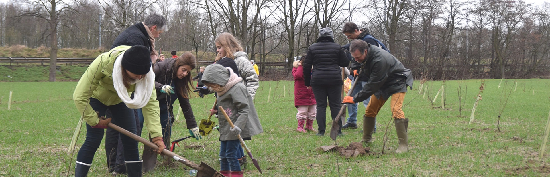 Novartis associates planting trees