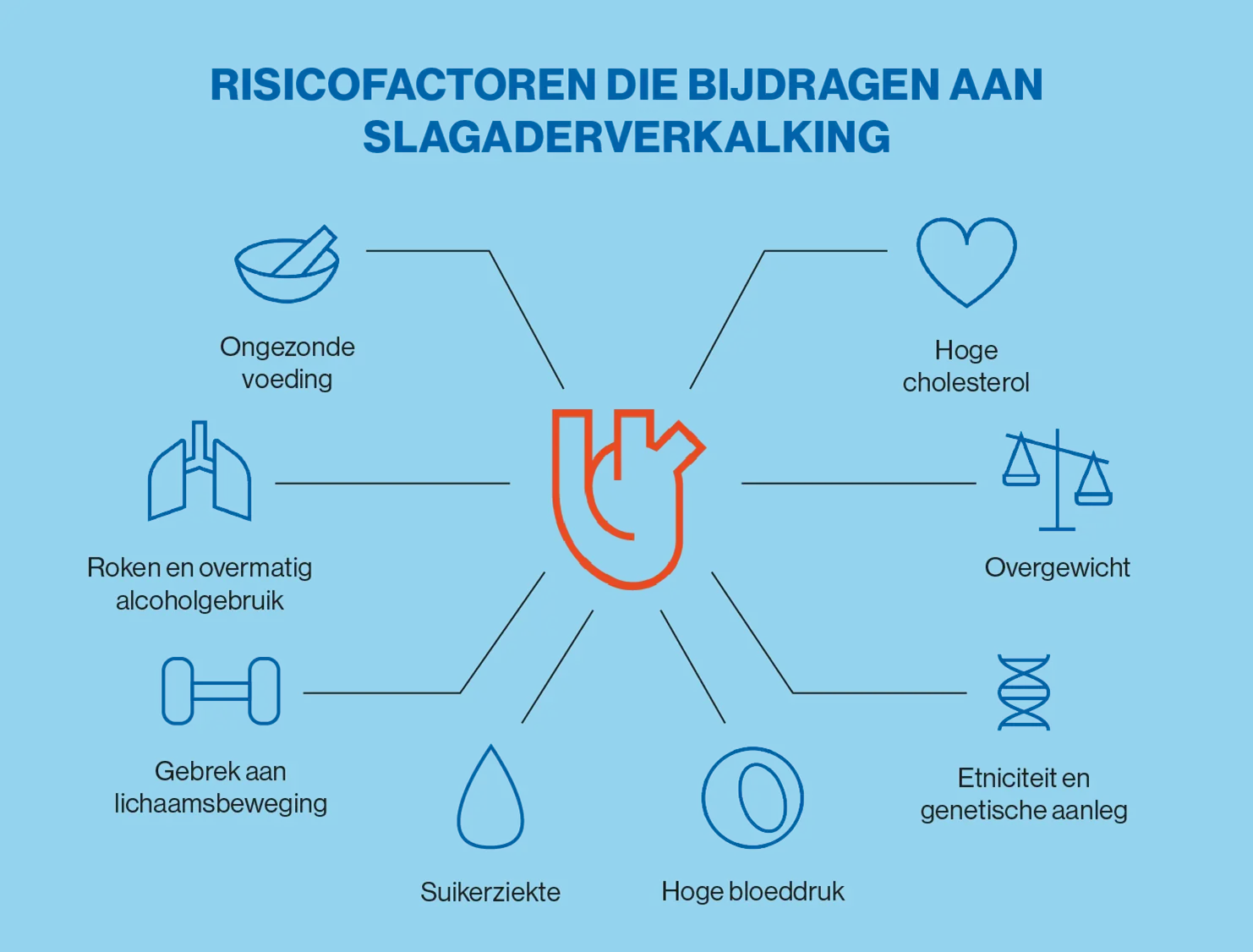 Infographic risicofactoren slagaderverkalking