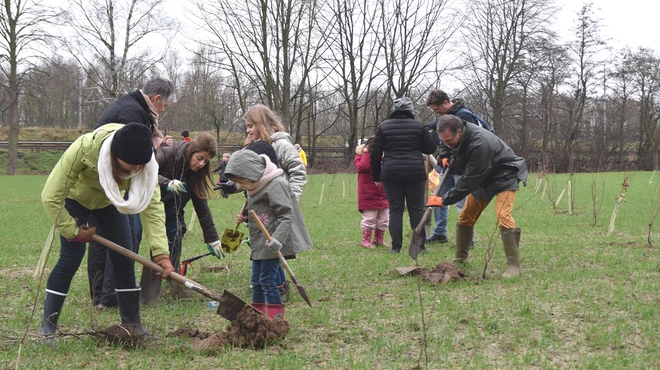 Novartis associates planting trees