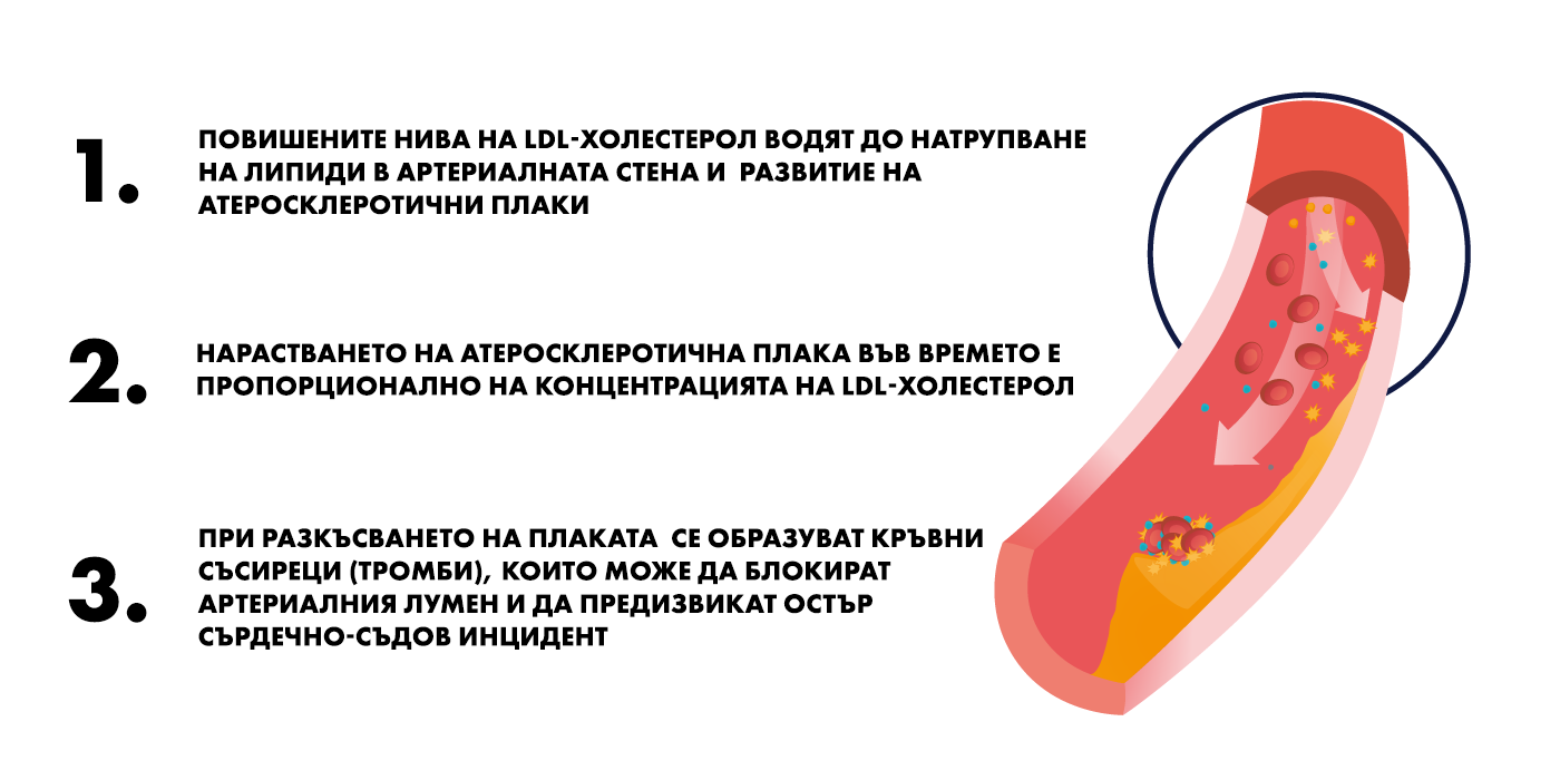diagram-about-ldl-cholesterol-risks