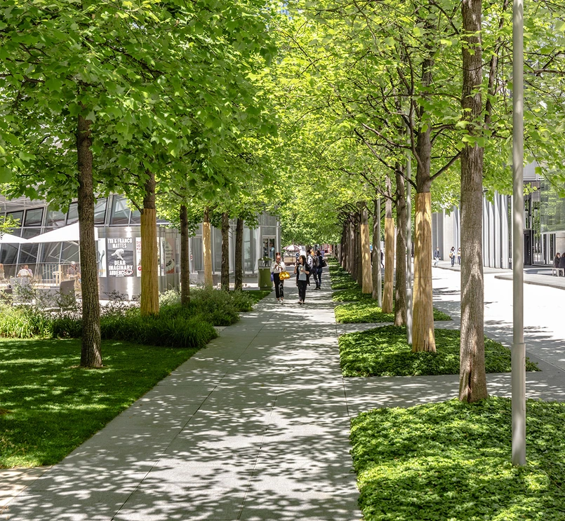 Sustentabilidade Ambiental