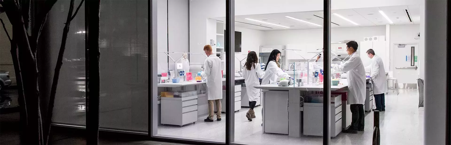 Foto de uma sala de laboratório vista através das janelas altas. O laboratório é iluminado com luz branca, com bancadas, chão e paredes brancas. Nas bancadas estão frascos coloridos e adjacente mulheres e homens de jaleco branco trabalham.