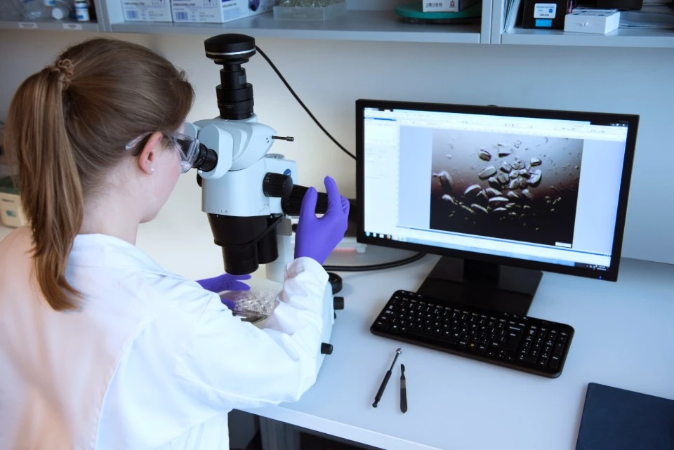 Foto de uma mulher utilizando um equipamento para analisar amostras. A imagem é mostrada no monitor ao lado dela. Ela veste luvas, jaleco branco e tem o cabelo castanho preso. 