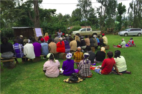 International Volunteer Program