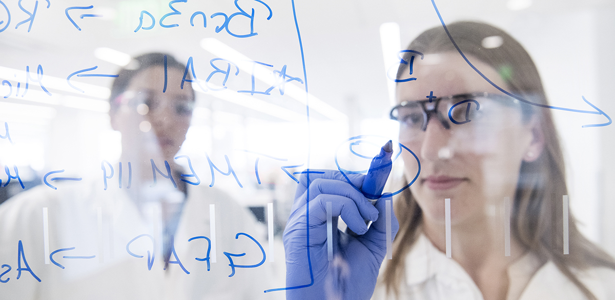 Wissenschaftlerin schreibt an einer Glaswand