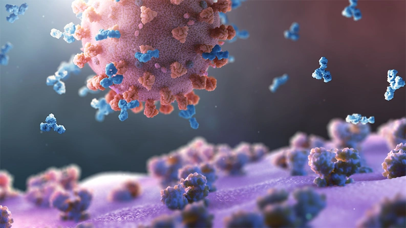 Impfstoffe helfen beim Aufbau körpereigener Antikörper, die das Virus bremsen können