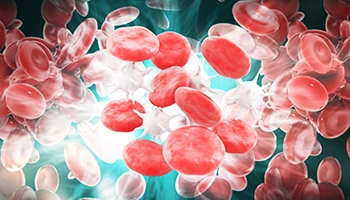 Abbildung, die eine Gruppe von Blutzellen zeigt