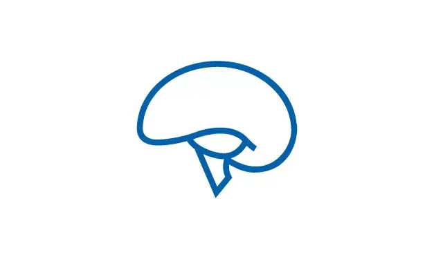 Icône: représentation d'un cerveau