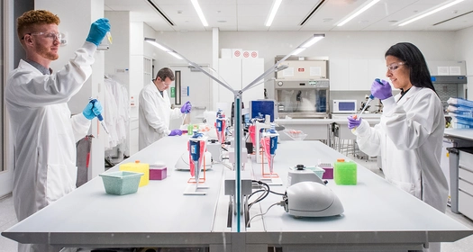 Novartis Wissenschaftlerinnen und Wissenschaftler in moderner Laborumgebung.