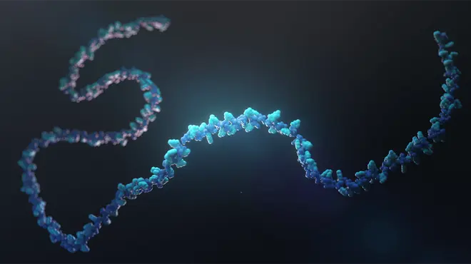 Abbildung eines RNA-Strangs