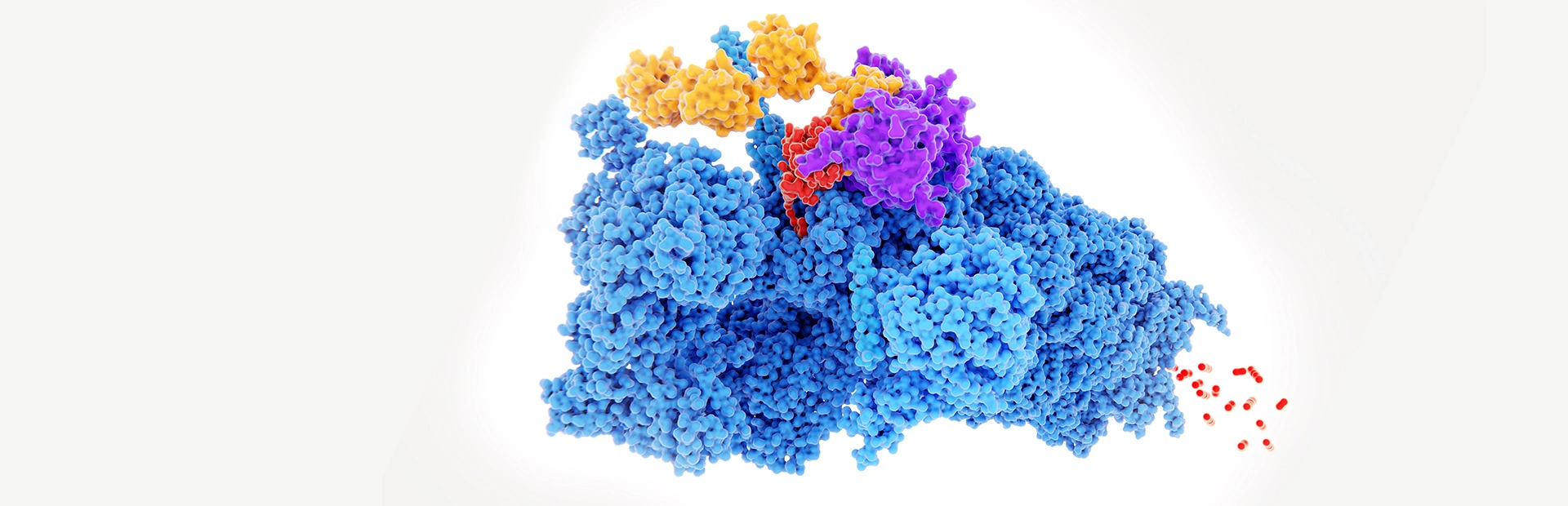 Die Targeted Protein Degradation Methode ermöglicht es Wissenschaftlern, krankheitsrelevante Proteine im Körper gezielt abzubauen
