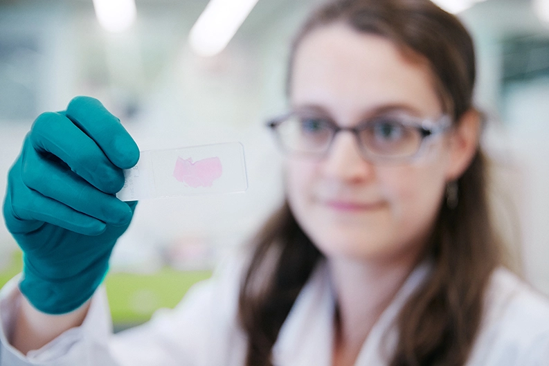 Une personne examine un échantillon de tissu coloré
