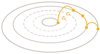 Mehrgleisige Karriere