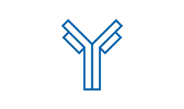 Icône représentant un anticorps