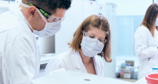 Ein Paar Wissenschaftler, die etwas untersuchen