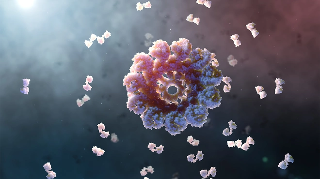 Das Inflammasom - Illustration:Mark Mazaitis