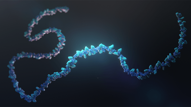 Abbildung eines RNA-Strangs