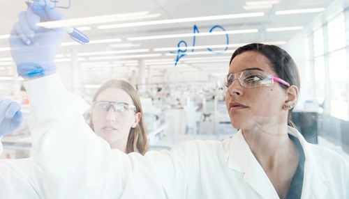 Investigación y desarrollo