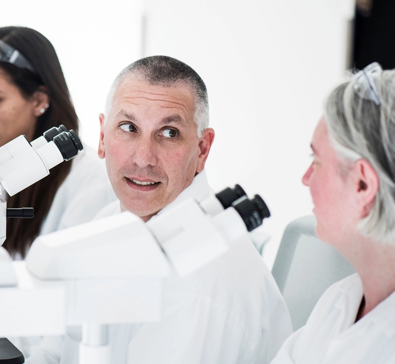 Proceso de desarrollo de fármacos