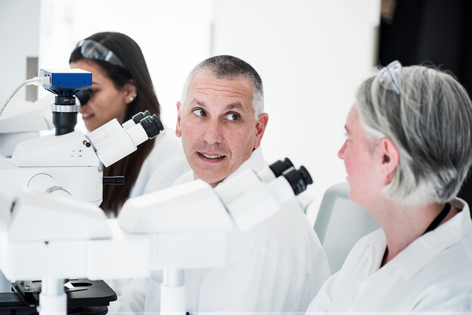 Proceso de desarrollo de fármacos 