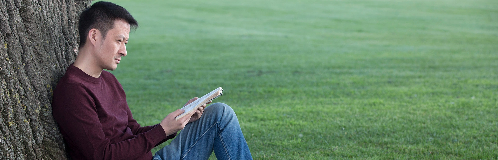 Mann sitzt unter einem Baum und liesst