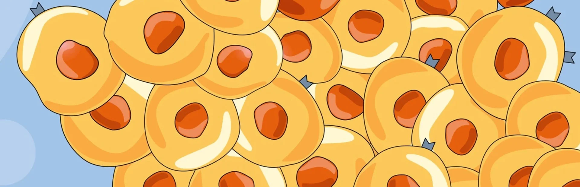 Banner Strahlentherapie gegen Krebszellen