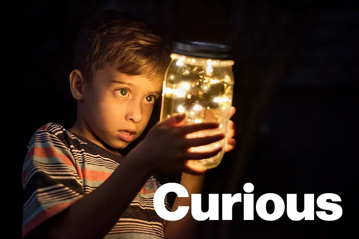 Curious