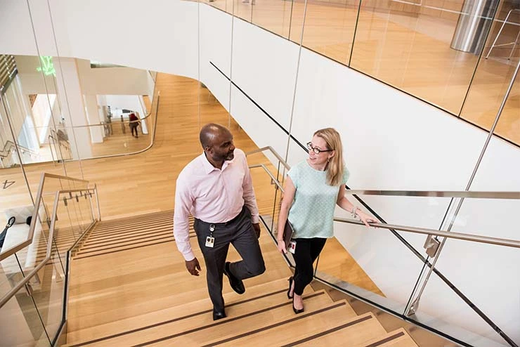 Zwei Kollegen gehen zusammen eine Treppe hoch