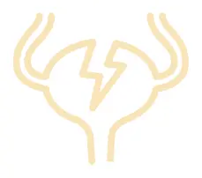 Harnblasenentzündungen