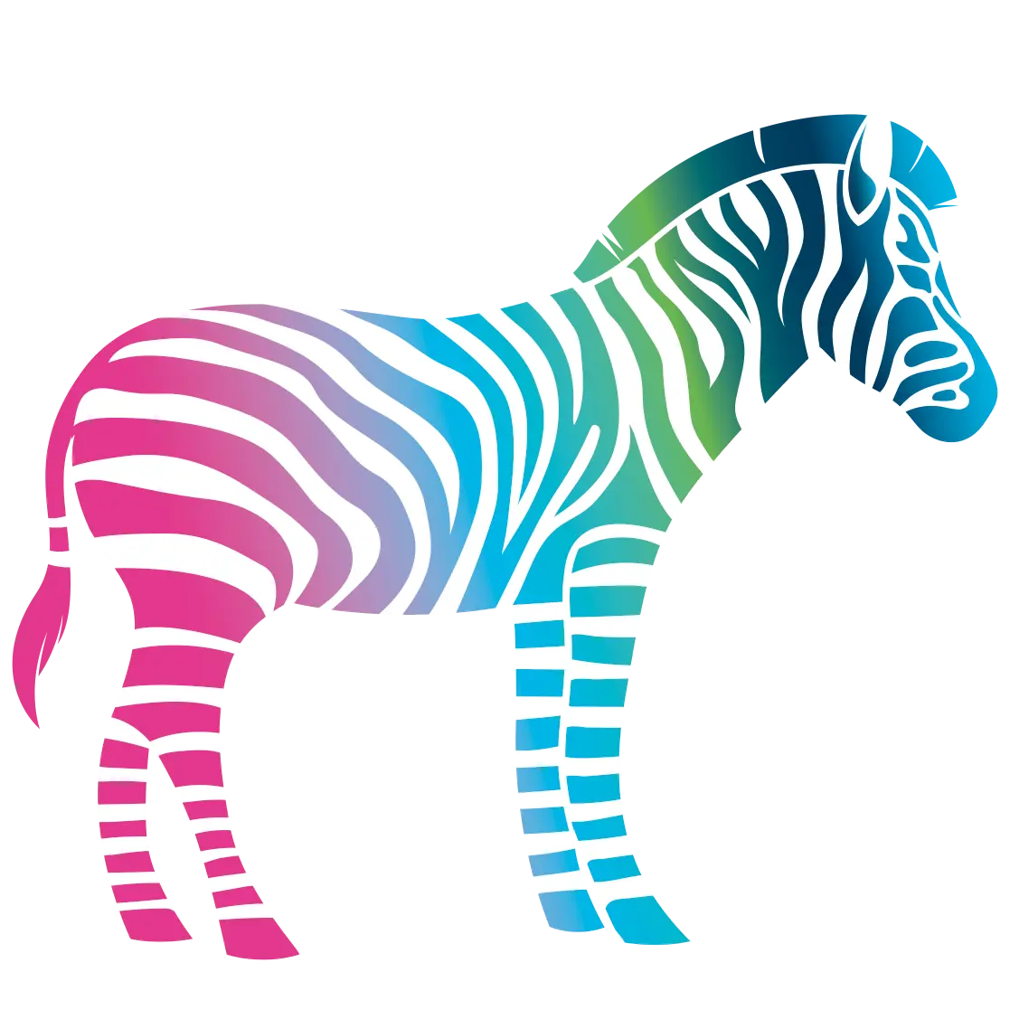 Grafik Buntes Zebra