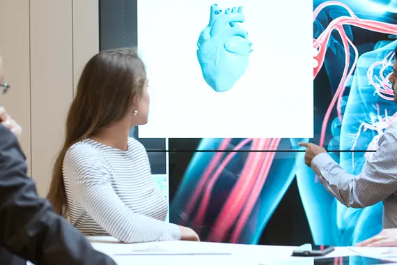 Wissenschaftler vor einem Herz-3D-Modell