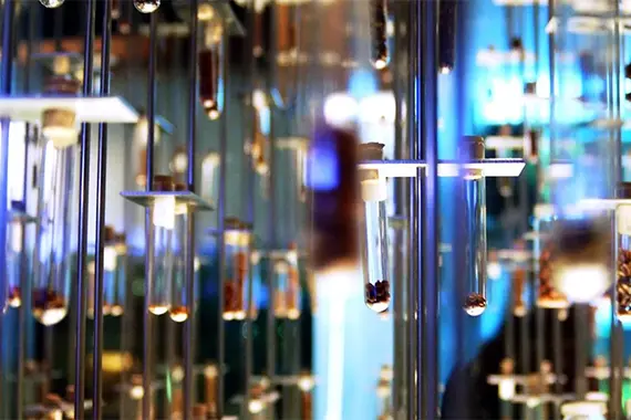 Teaser Forschungsstandort Deutschland