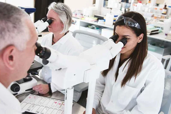 Forschung und Entwicklung für neue Therapien bei Novartis in Deutschland und weltweit