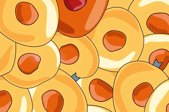 Teaser Strahlentherapie gegen Krebszellen