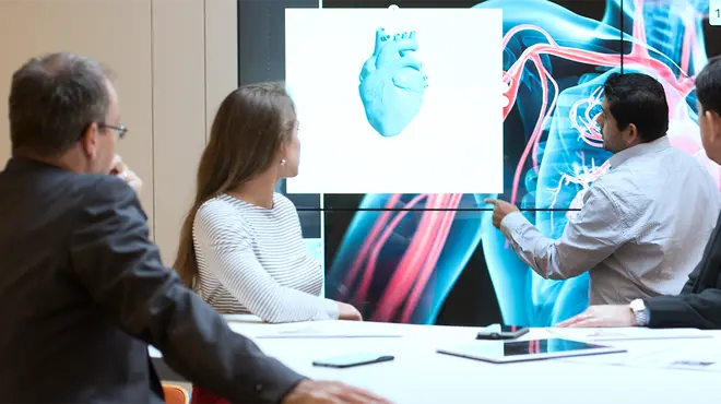 Wissenschaftler vor einem 3D-Modell eines Herzens