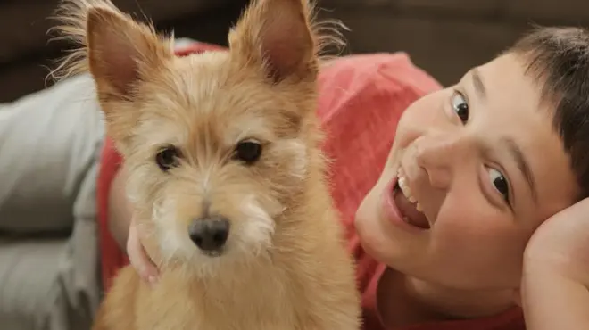 Ich wusste nicht, wie hart es ist