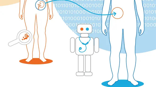 Broschüre: Gendermedizin, ist da etwas dran?