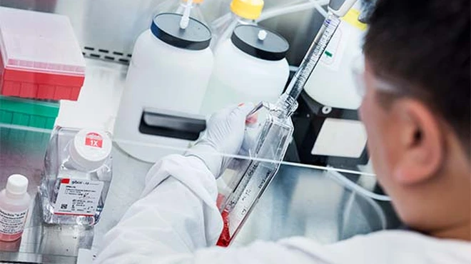 Wissenschaftler im Labor