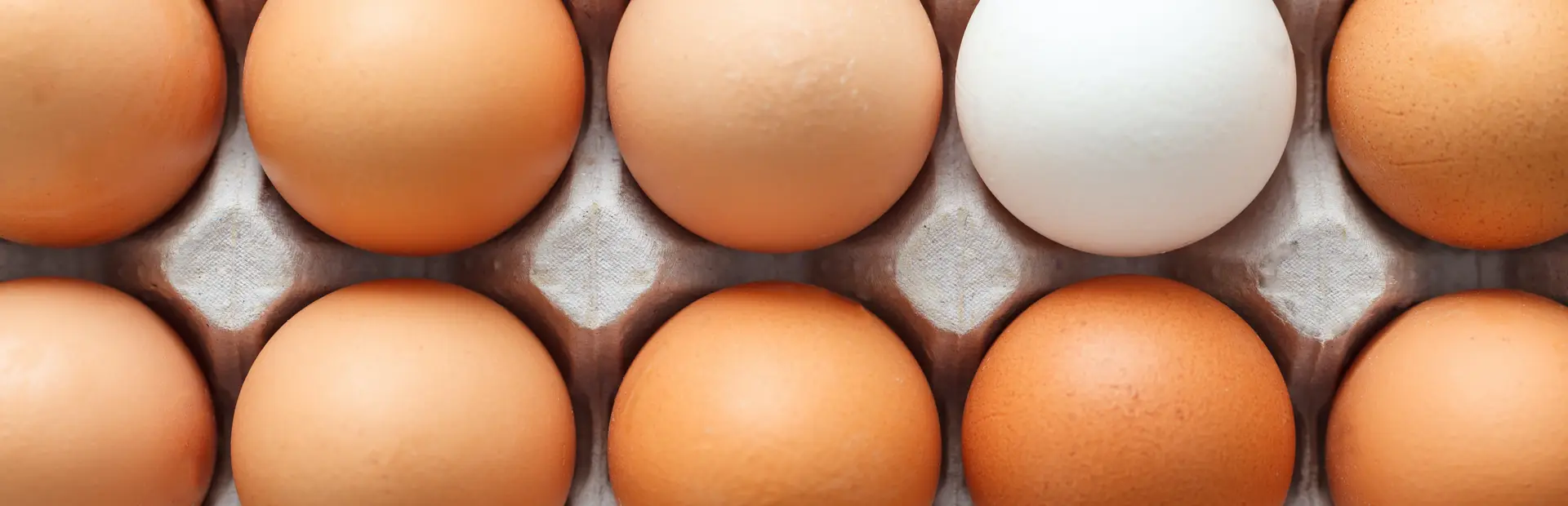 Huevo blanco entre huevos de color carne