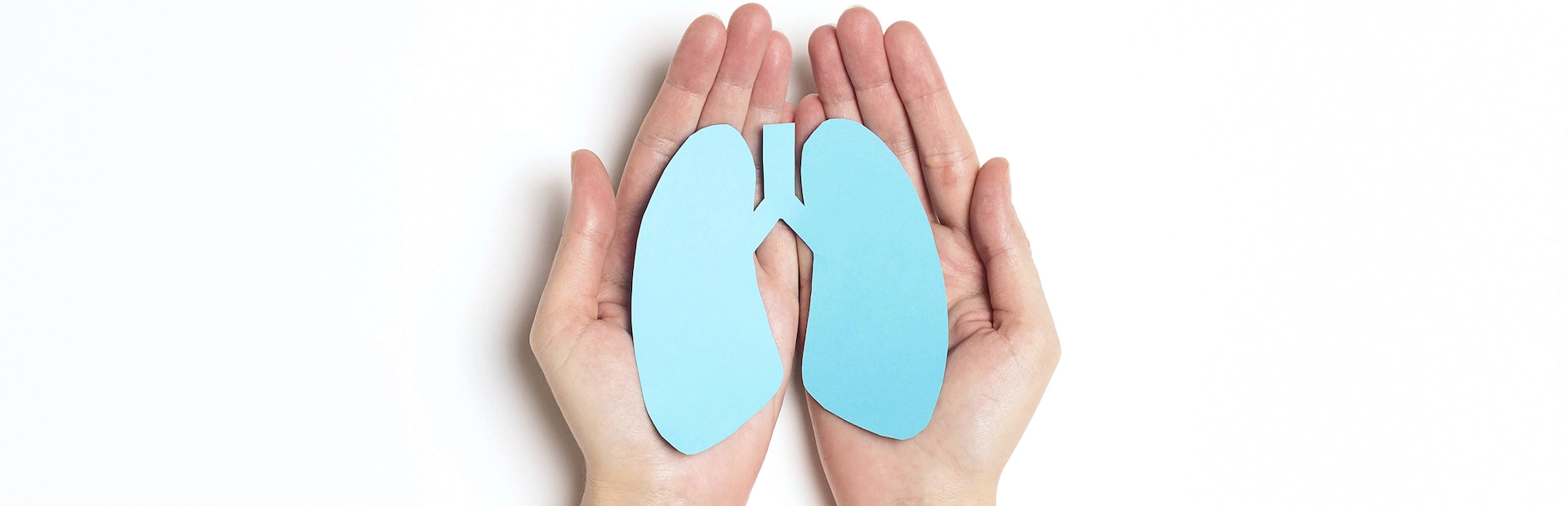 persona sujetando pulmones de papel